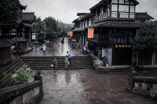 动物帮帮忙保卫家园